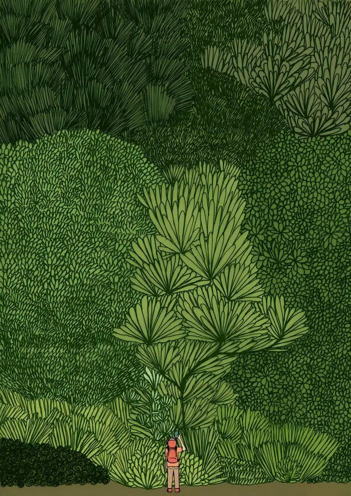 Affiche murale d'exploration de la forêt verte nordique, impression sur toile moderne, peinture d'ar