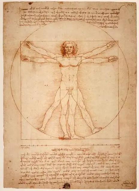 Peintures sur toile d'art célèbre homme de Vitruve, par Leonardo da Vinci, affiches et imprimés d'ar