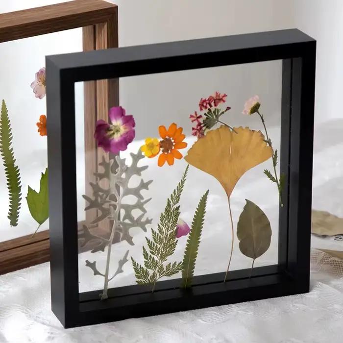 Cadre d'échantillon en bois avec cadre Photo en verre véritable