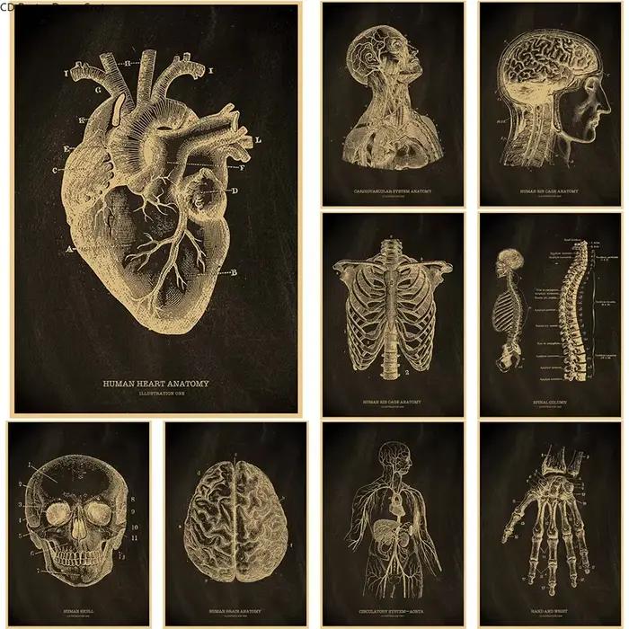Affiche de tableau noir squelette anatomique