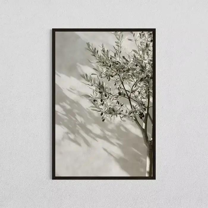 Toile d'olivier méditerranéen imprimée