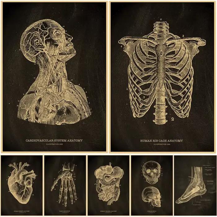 Affiches nostalgiques, tableau d'anatomie, imprimés, parties du corps, cœur, main, pied, dessin, Vintage, décoration murale pour salle de maison, peinture