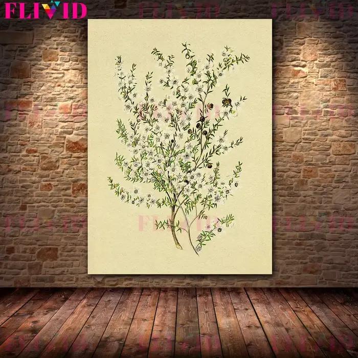 Arbre de branche d'olivier et branche de fleur blanche