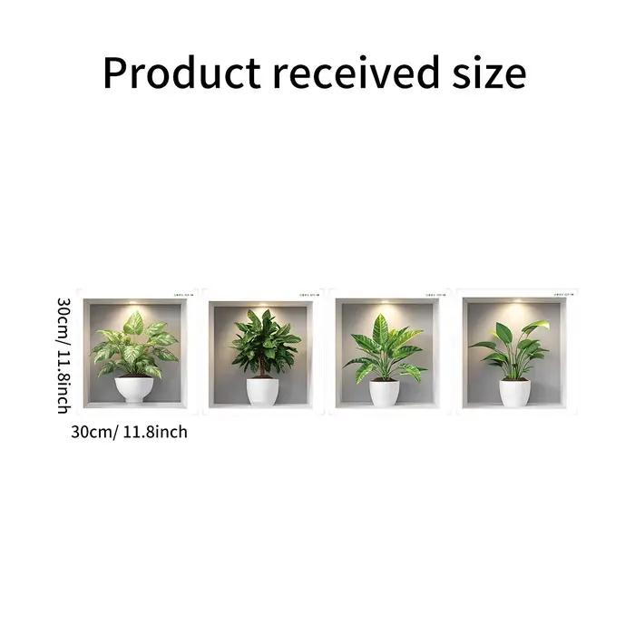 Nouvelles plantes vertes créatives