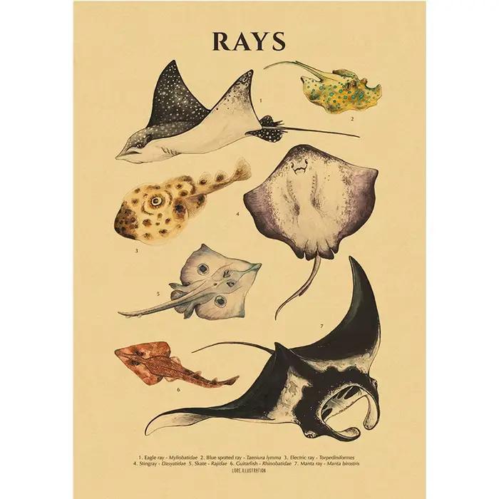 Affiches en papier kraft sur le thème des organismes marins