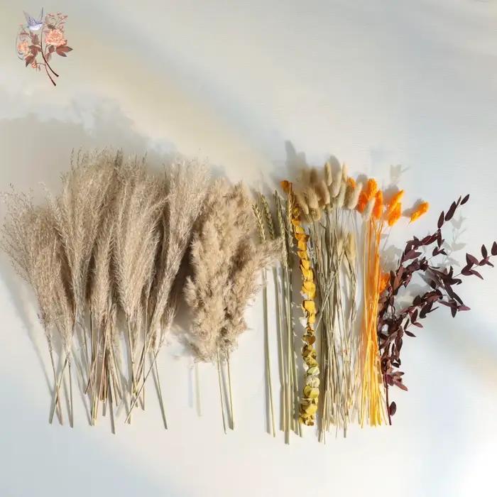 Bouquet de fleurs séchées naturelles Pampas