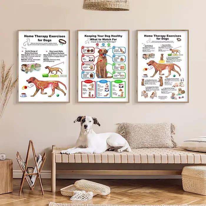 Affiche de diagramme d'anatomie de chien, gardez votre chien et chat, impression saine, peinture sur toile d'art mural vétérinaire, décor mural d'hôpital Animal