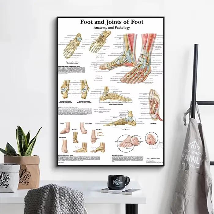 Tableau de pied Joendocof