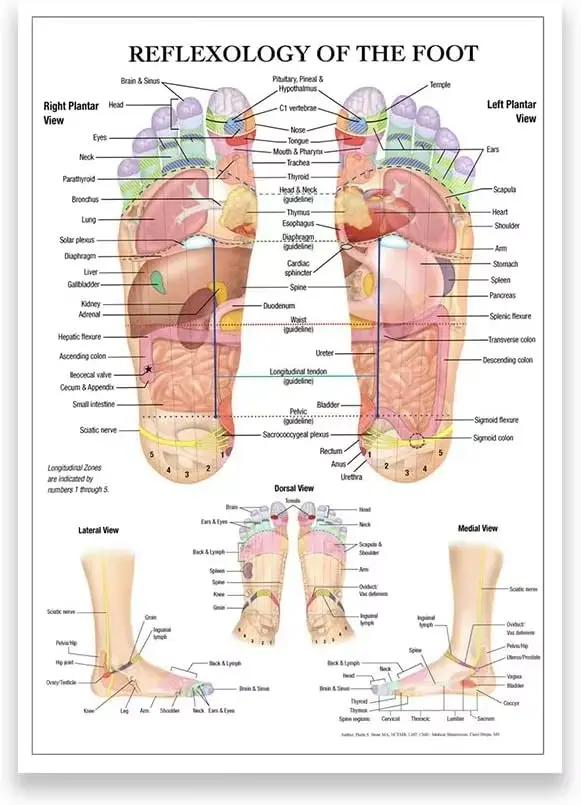 Massage de réflexologie des pieds