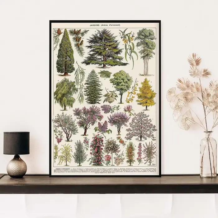 Affiches et imprimés Vintage d'encyclopédie Adolphe Millot