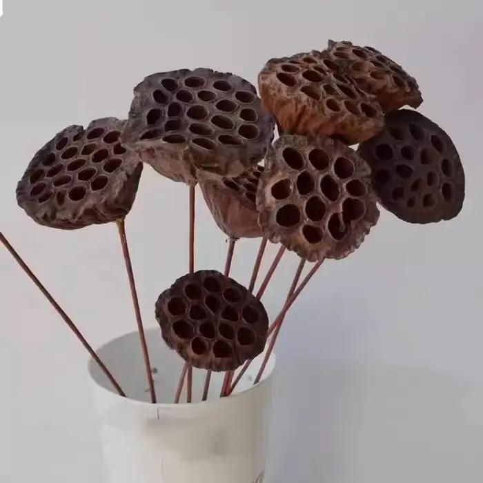 Fleurs d'Annie Naturelles vaccées pour Décoration de Bureau