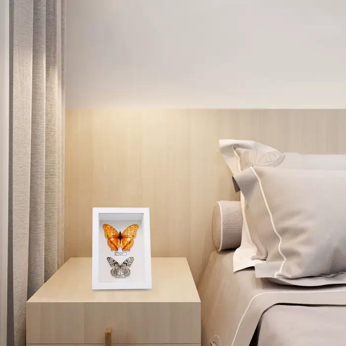 Boîte à spécimens d'insectes en bois élégante faite à la main
