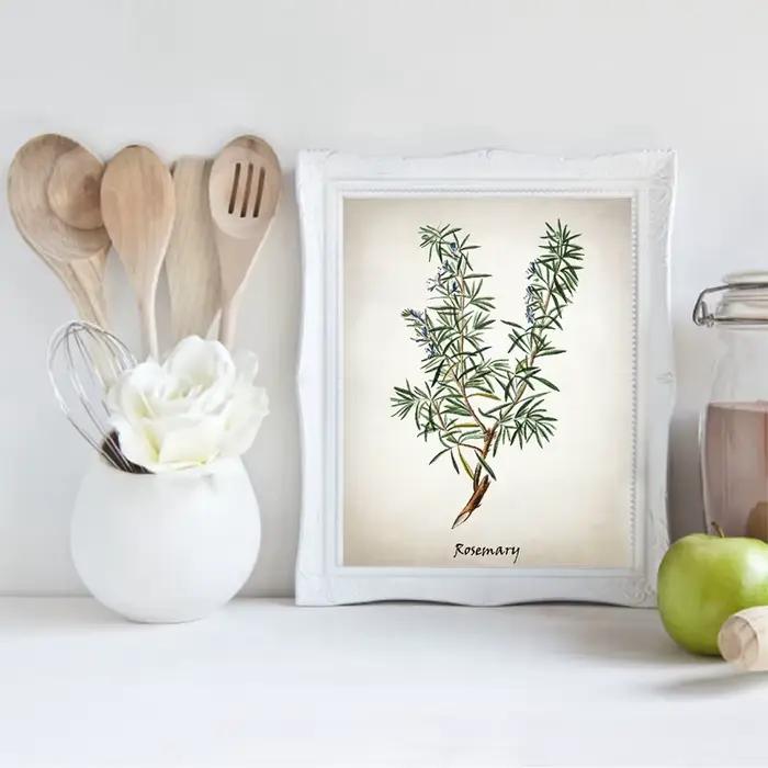Affiches et impressions d'herbes culinaires vintage