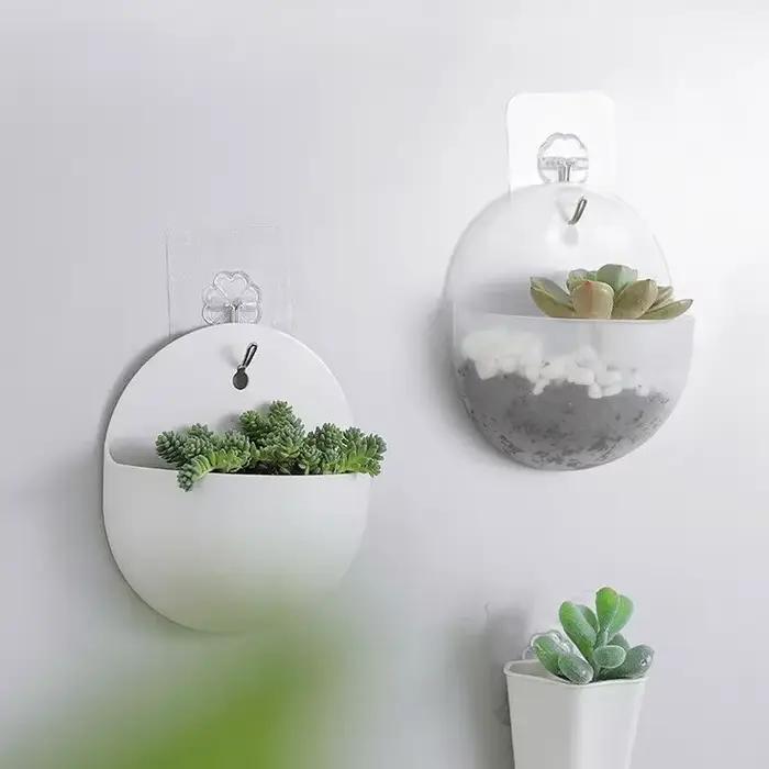 Plante de fleurs jardin intérieur maison