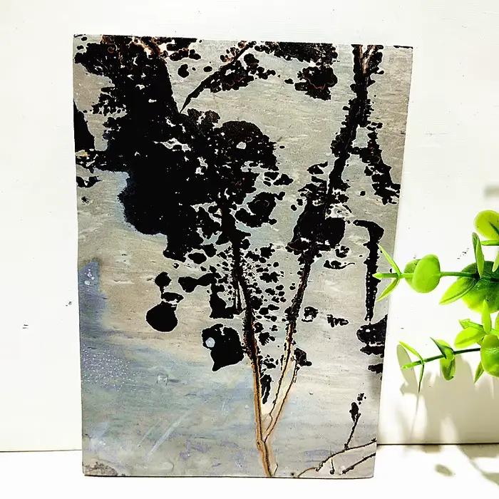 Tranche de peinture de paysage en pierre naturelle