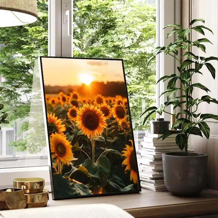Affiche de paysage naturel du monde