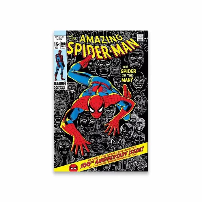 Affiche Spider Man No Way Home