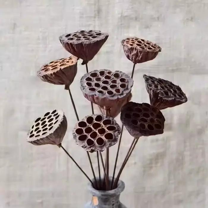Fleurs d'Annie Naturelles vaccées pour Décoration de Bureau