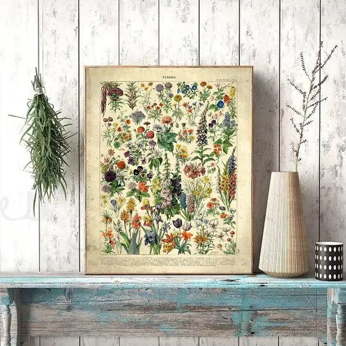 Affiches et imprimés Vintage de fleurs françaises
