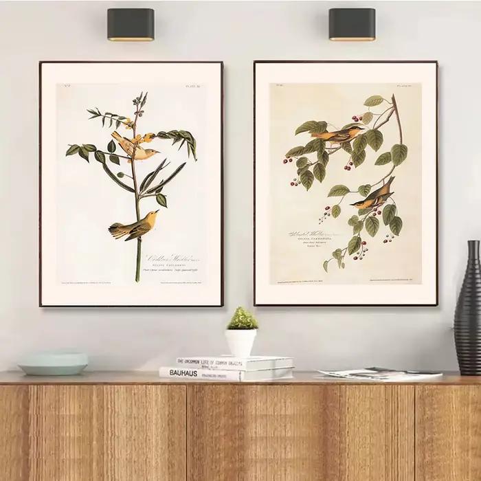 Affiches et imprimés botaniques Vintage