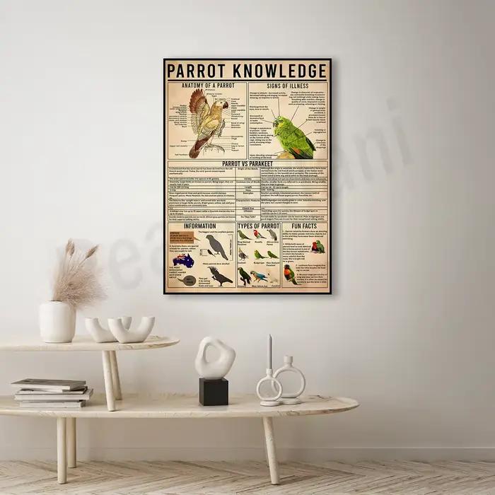 Affiche du connaissance du perroquet