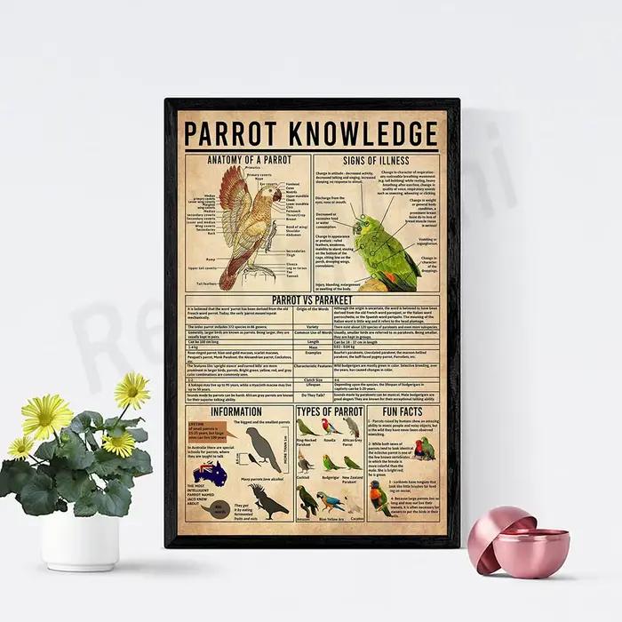 Affiche du connaissance du perroquet