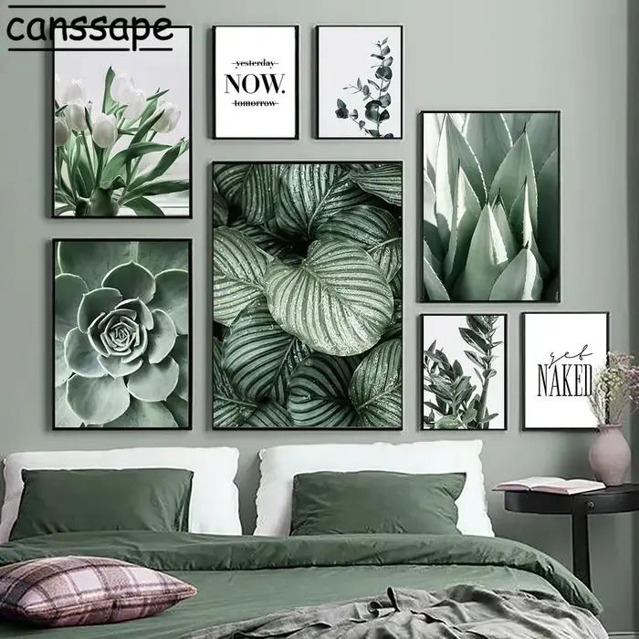 Affiches de plantes succulentes