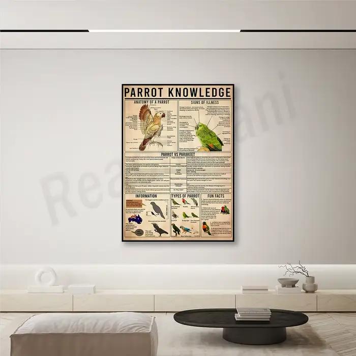 Affiche du connaissance du perroquet