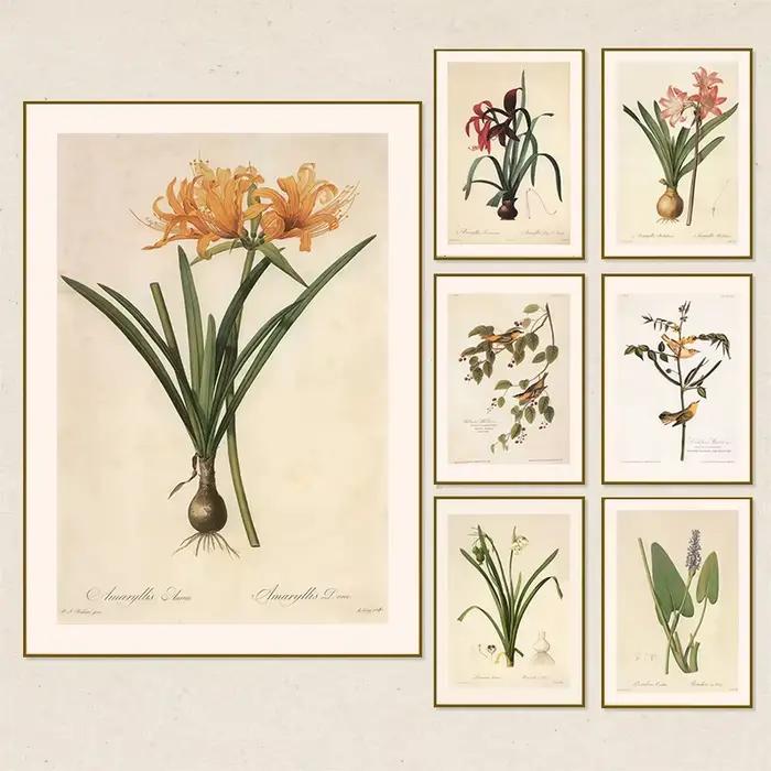 Affiches et imprimés botaniques Vintage