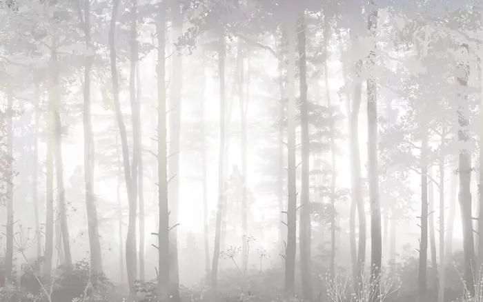 Papier peint personnalisé, peinture à l'huile, art forestier, murale de jungle, décoration intérieure, brouillard forestier, matin de l'aube, décoration murale forestière