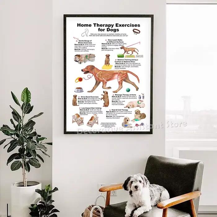 Affiche de diagramme d'anatomie de chien, gardez votre chien et chat, impression saine, peinture sur toile d'art mural vétérinaire, décor mural d'hôpital Animal