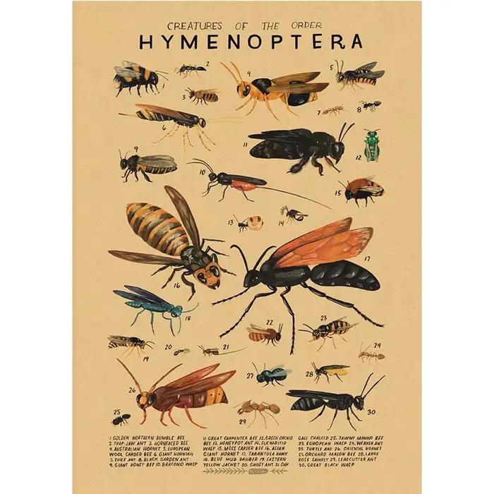Affiches en papier kraft sur le thème des organismes marins