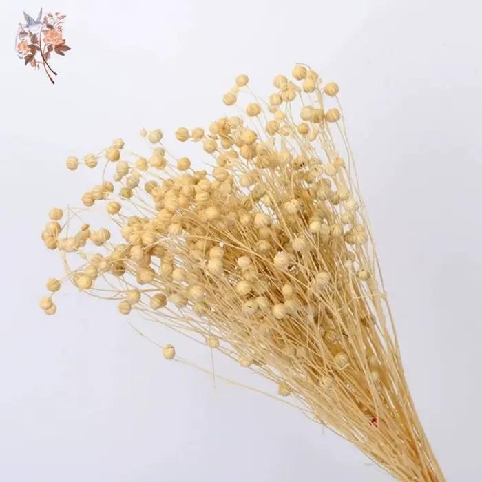 Fleurs séchées naturelles, Bouquets d'herbe en lin, vraies plantes conservées pour la décoration de la maison, matériel de bricolage, décoration de mariage, résine époxy