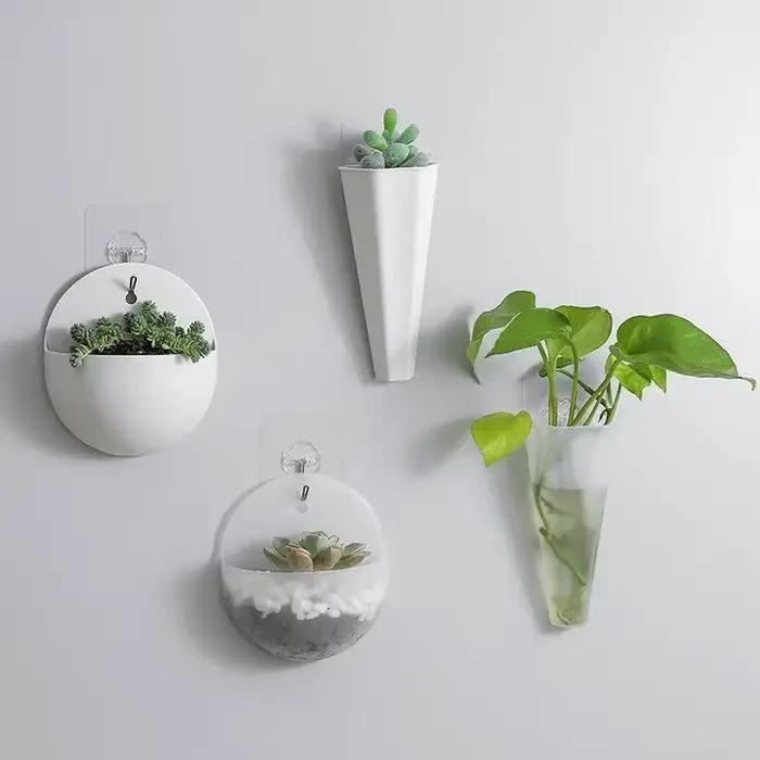 Plante de fleurs jardin intérieur maison