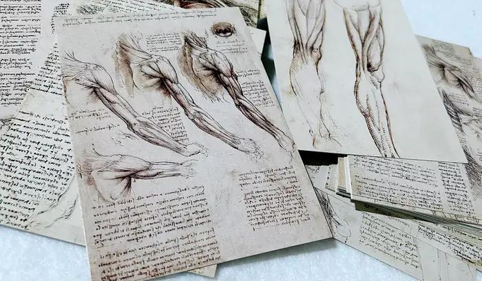 30 feuilles/Lot Leonardo Da Vinci croquis peinture carte postale Vintage Art