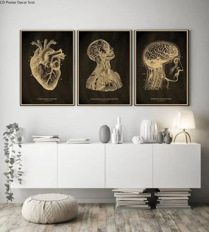 Affiche de tableau noir squelette anatomique