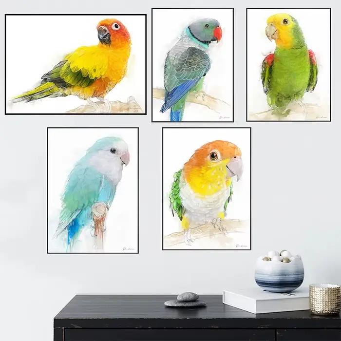 Affiche de perroquet aquarelle