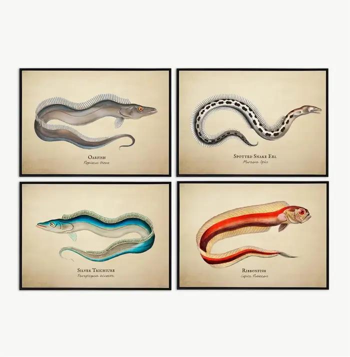 Images Vintage poissons tropicaux méduses coquilles vie Marine Art abstrait peintures sur toile