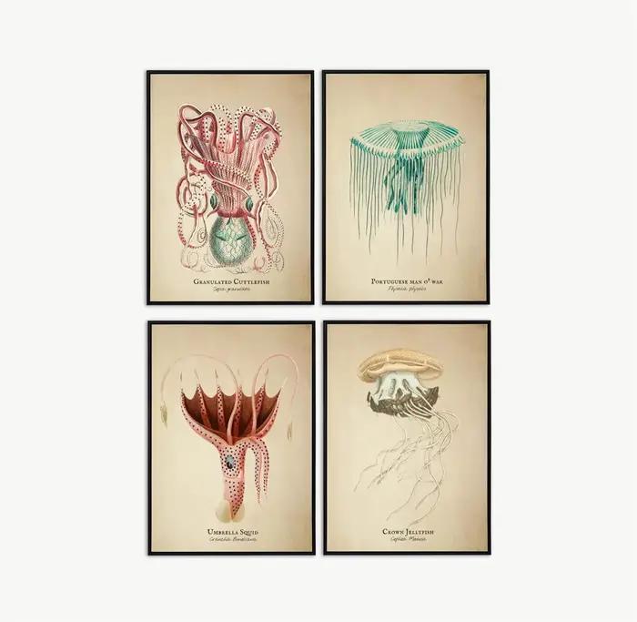 Images Vintage poissons tropicaux méduses coquilles vie Marine Art abstrait peintures sur toile