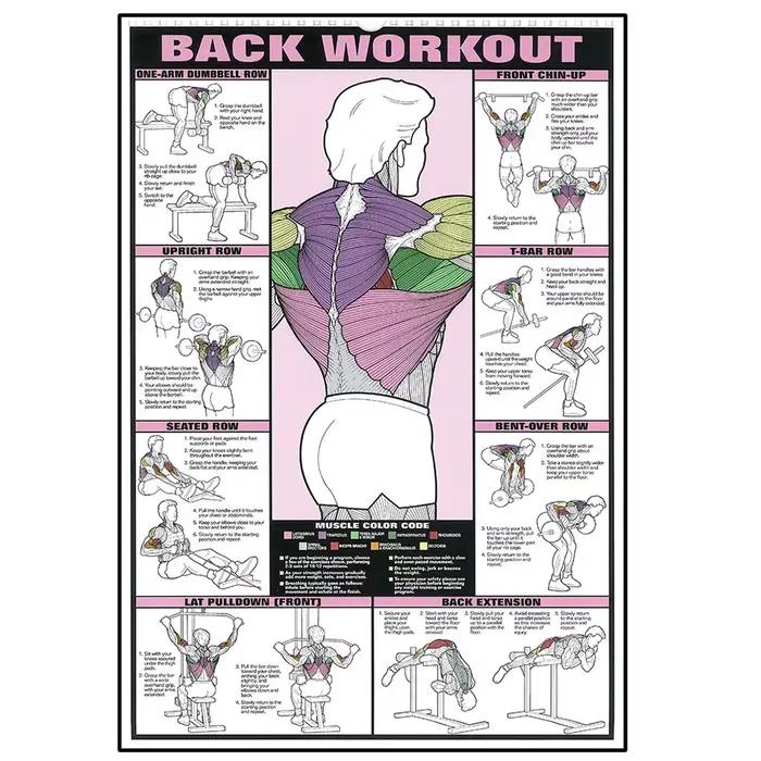 Activités de Fitness d'entraînement