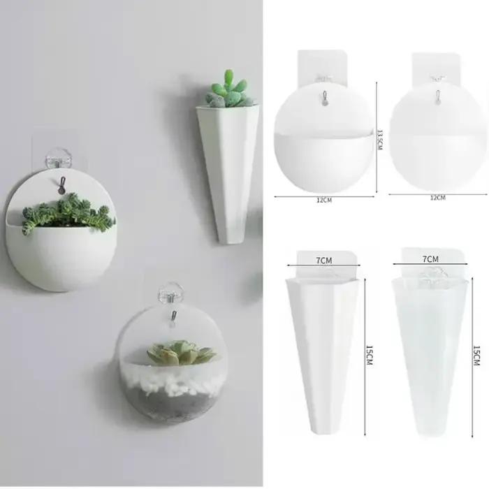 Plante de fleurs jardin intérieur maison