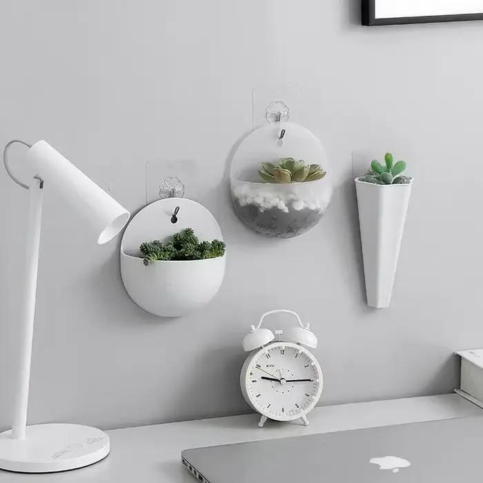 Plante de fleurs jardin intérieur maison