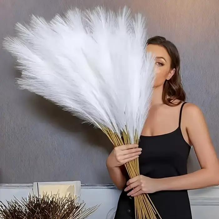20 pièces d'herbe de Pampa 21