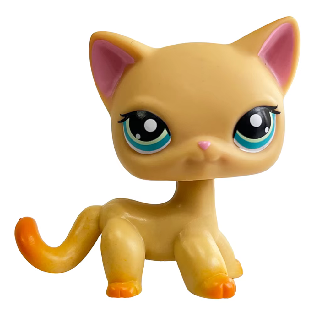 Supports de jouets pour animaux de compagnie rares, cheveux courts, chaton, chien, teckel, Collie ép