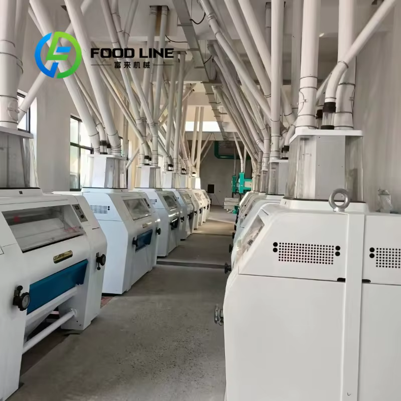 Machine de meunerie de blé automatique de haute qualité, capacité de 60 tonnes par jour, personnalis