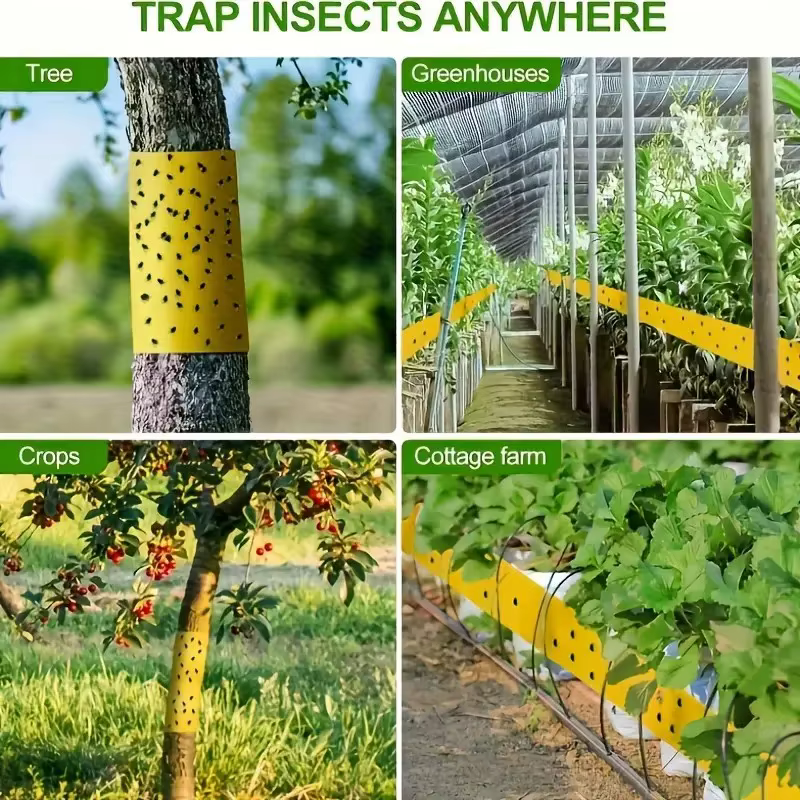 Ruban Adhésif Double Face Ultra-Adhésif Anti-Insectes Jaune – Piège Autocollant pour Arbres – Contrôle des Nuisibles de Jardin – Prévient les Mites et les Insectes Grimpants sur les Arbres