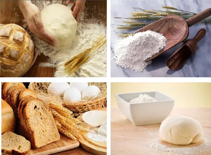 Fraiseuses à farine de blé pour produire la farine pour fabriquer des gâteaux au pain