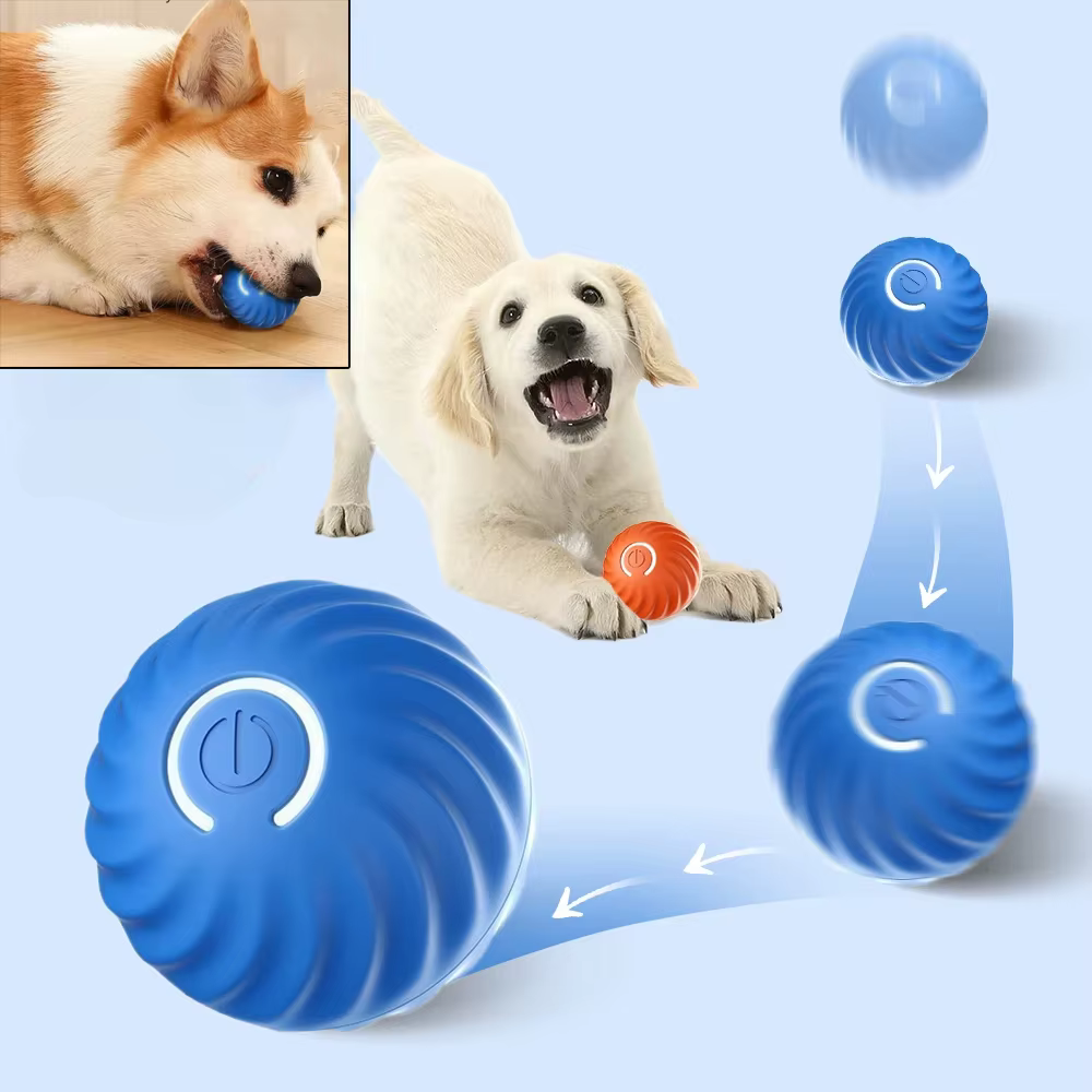Balle de jeu pour chien, balle automatique qui bouge, rebondit et roule, balle intelligente USB pour chiot, jouet interactif pour chien, balle à mâcher