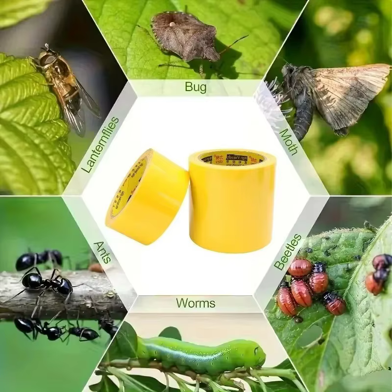 Ruban adhésif jaune pour la capture des insectes, 10 m, double face, pièges adhésifs, contrôle des parasites des arbres fruitiers, pelouse, autocollants, fournitures de jardin