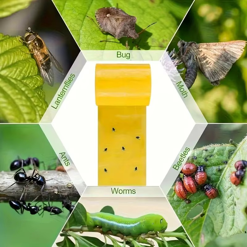 1 rouleau de ruban adhésif Double face pour barrière contre les insectes, efficace contre le lutte antiparasitaire en plein air, auto-adhésif adapté aux arbres et aux jardins